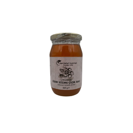 Memleket Gurmesi 460 gr Organik Iğdır Süzme Çiçek Balı