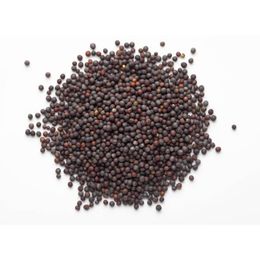 Menzil Kuruyemiş 100 gr Siyah Hardal Tohumu