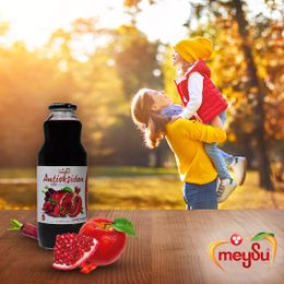 Meysu %100 Antioksidan Karışık 1 lt Meyve Nektarı