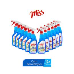 Miss Spreyli 12x750 ml Cam Temizleyici