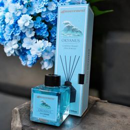 Mouvement Okyanus Esintisi 100 ml Çubuklu Oda Kokusu