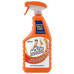 Mr.Muscle 750 ml Dezenfektan Çok Amaçlı Sprey