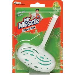 Mr.Muscle Orman Esintisi 40 gr Klozet Blok
