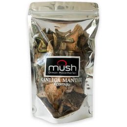 Mush 35 gr Kurutulmuş Kanlıca Mantarı