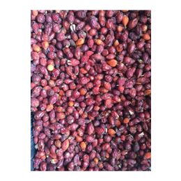 Natural 1 kg Kuşburnu Kurusu