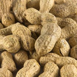 Natural Köy Ürünleri 1 kg Tuzlu Kabuklu Yer Fıstığı