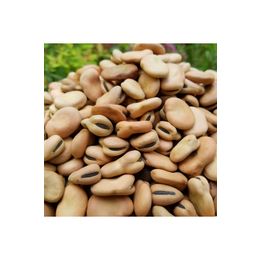 Natural Köy Ürünleri 25 kg Kuru Bakla