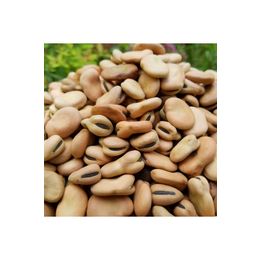 Natural Köy Ürünleri 25 kg Kuru Bakla