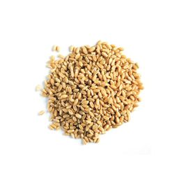 Natural Köy Ürünleri 5 kg Yerli Buğday