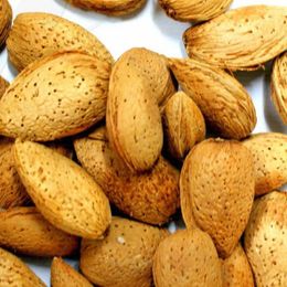 Naturalköyürünleri 5 kg Ferragnes Cinsi Diş Badem