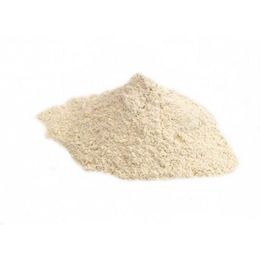 Naturdan 100 gr Soğan Tozu