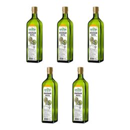Naturdan 5x1 lt Enginar Suyu