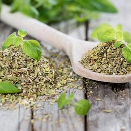 Nefisso 400 gr Bursa Kekik