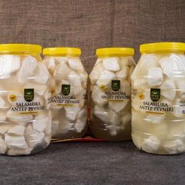 Nefisso 4x2.5 kg Antep Usulü Keçi Az Tuzlu Salamura Antep Peyniri