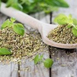 Nefisso 900 gr Bursa Kekik