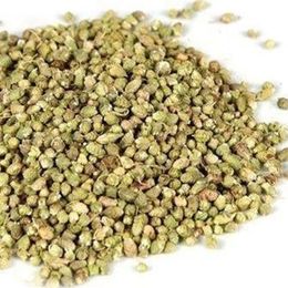 Nicer Bite 250 gr Tane Kekik