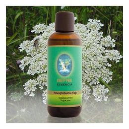 Nuka 30 ml Havuç Tohumu Yağı