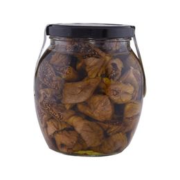 Nusnus 750 gr Zeytinyağlı İncir