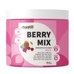 Nustil 100 gr Berry Mix Orman Meyveli Toz Karışım