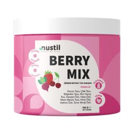 Nustil 100 gr Berry Mix Orman Meyveli Toz Karışım