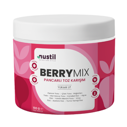 Nustil 100 gr Berry Mix Orman Meyveli Toz Karışım