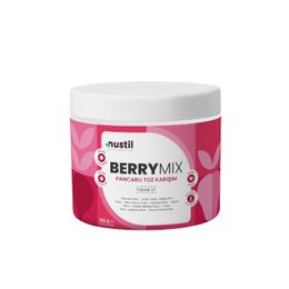 Nustil 100 gr Berry Mix Orman Meyveli Toz Karışım