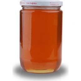 Ödemiş Bozdağ 500 gr Yayla Balı