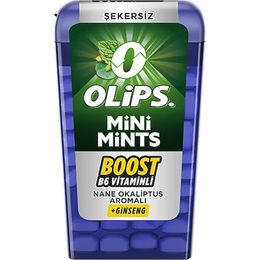 Olips Mini Mints Nane Ginseng 12.5 gr Şekerleme