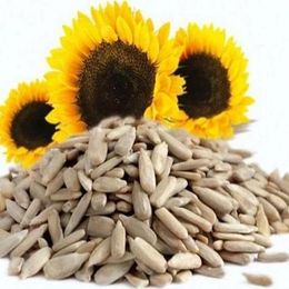 Online Kuruyemiş 1 kg Çiğ Ayçekirdeği İçi