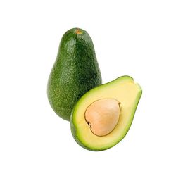 Organik Avokado