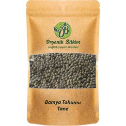 Organik Bitkim 100 gr Tane Bamya Tohumu