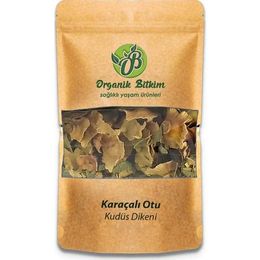 Organik Bitkim 500 gr Karaçalı Otu