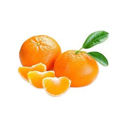 Organik Bodrum Mandalina