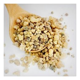 Organik Günlük Sakızı 200 gr