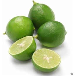 Organik Lime Limon