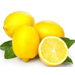 Organik Limon