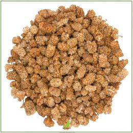 Orgibite 250 gr Organik Dökme Kuru Dut