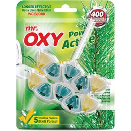 Oxy 2'li 50 gr Çam Kokulu Wc Blok