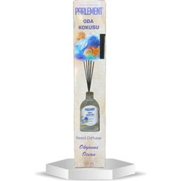 Parlement 50 ml Okyanus Bambu Oda Kokusu