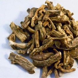 Pavrika 100 gr Eğir Kökü