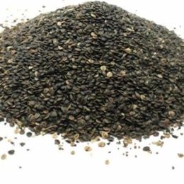 Pavrika 100 gr Isırgan Tohumu