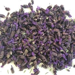 Pavrika 100 gr Karabaş Otu