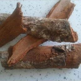 Pavrika 100 gr Kına Kına Kökü