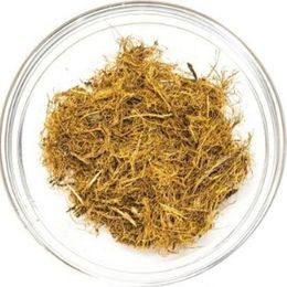 Pavrika 100 gr Lif Meyan Kökü