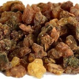 Pavrika 100 gr Mürsafi