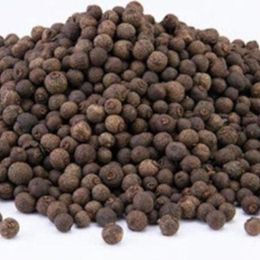 Pavrika 100 gr Tane Yenibahar