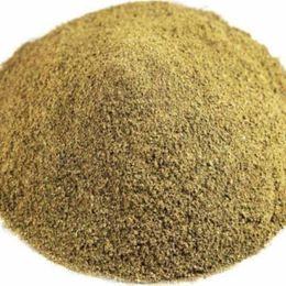 Pavrika 100 gr Toz Yenibahar