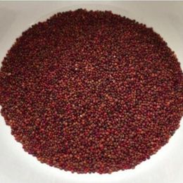 Pavrika 250 gr Roka Tohumu