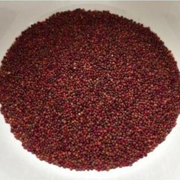 Pavrika 250 gr Roka Tohumu