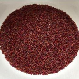 Pavrika 250 gr Roka Tohumu